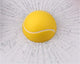 “You Hit My Window” Ball