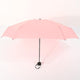 Pocket Umbrella