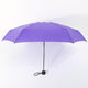 Pocket Umbrella